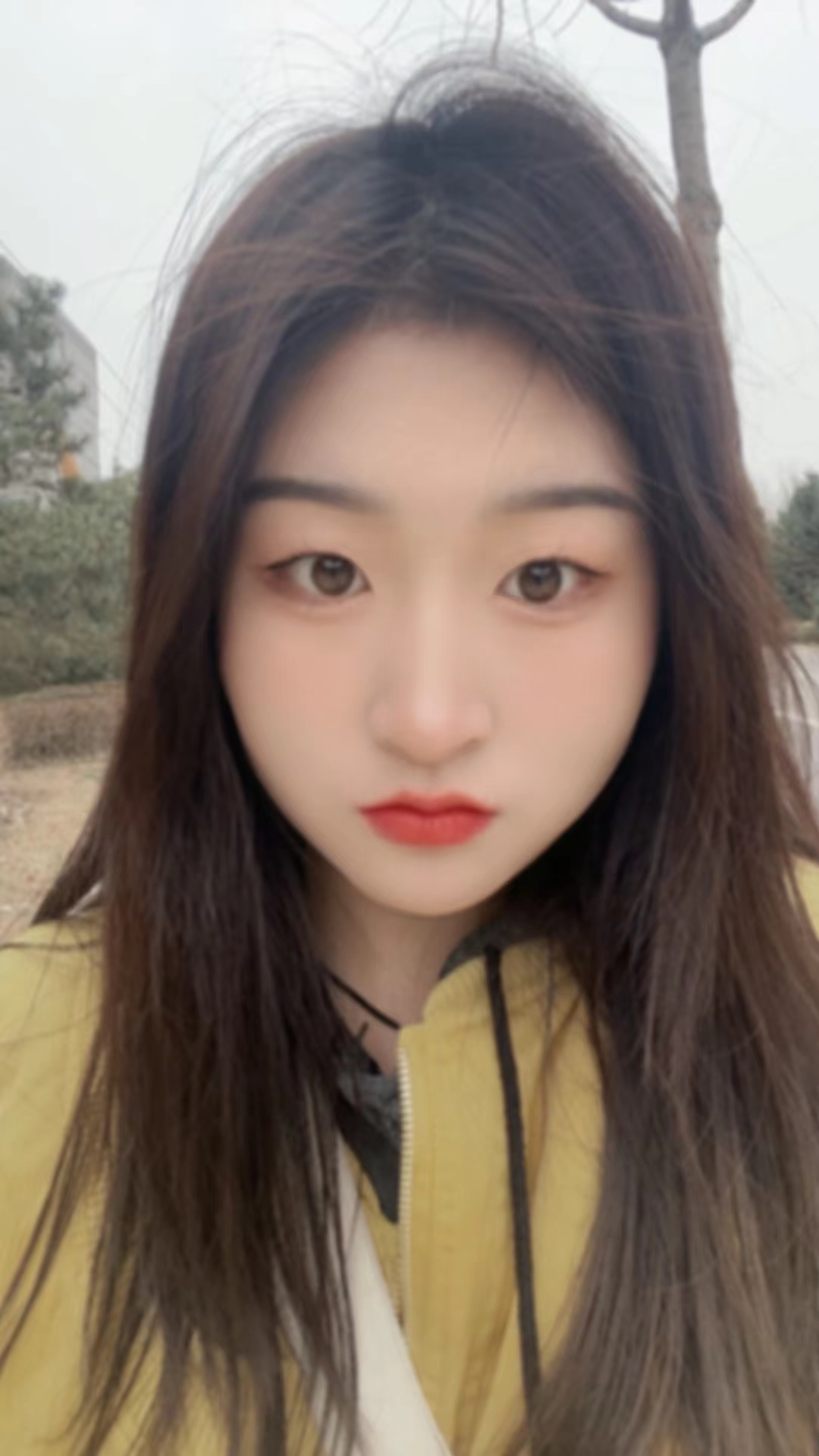 宇宇真美呀